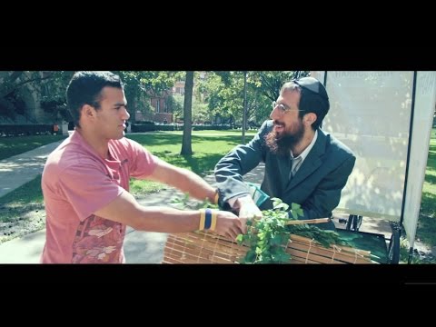Rogers Park - Sukkah's Falling [OFFICIAL VIDEO]