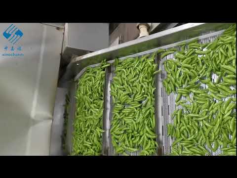 Sinocharm 2020 New Crop Frozen Sugar Snap Peas Processing Vedio