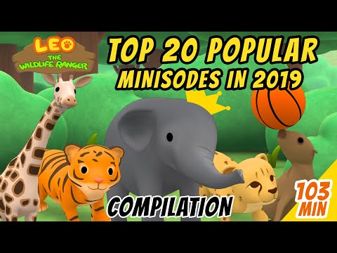 Top 20 Popular Animals in 2019 Compilation! | Leo The Wildlife Ranger | Fun Animal Facts For Kids