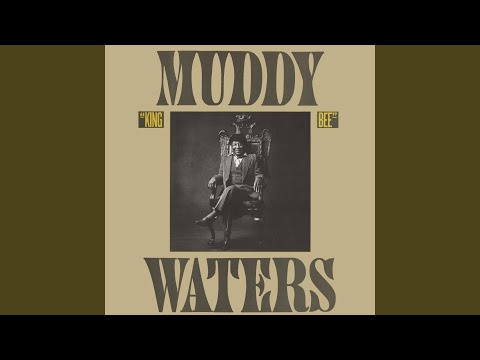 Too Young To Know - Muddy Waters