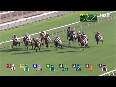 11/4/2021 (582) Looking Great - J Moreira