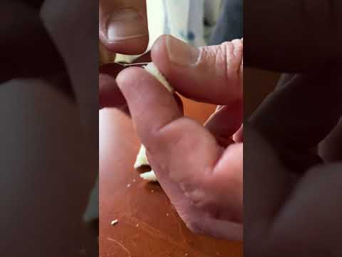 Pesca con pane, innesco per pane fatto in casa - bread Tip Fishing home made