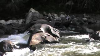 Download lagu Journey to Long Bena of Borneo island (Kalimantan Utara) mp3 Download lagu Journey to Long Bena of Borneo island (Kalimantan Utara) mp3