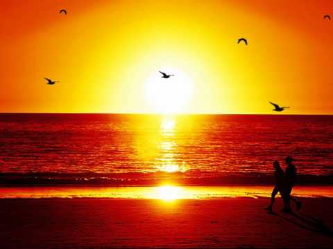 28 Degrees A L'Ombre