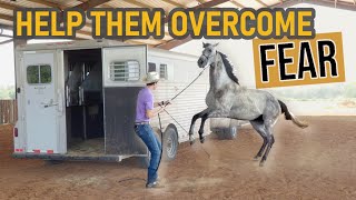 Trailer load any horse FAST | Full length training session!