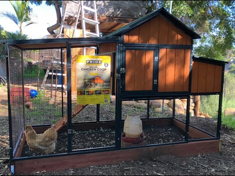 Producers Pride Sentinel Chicken 🐔 Coop (Modified) (#47)