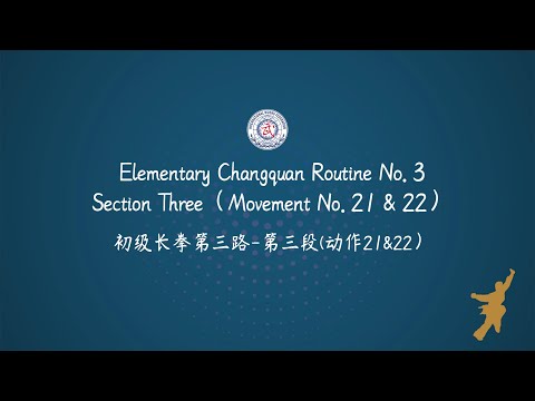 Elementary Changquan Routine No.3 - Section 3（Movement No. 21 & 22）AI Voice English