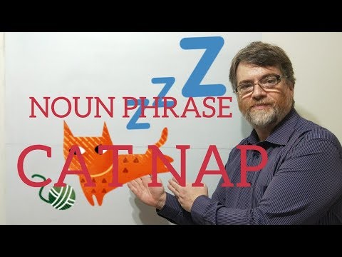 エムグリッシュ家庭教師 ニックP 名詞フレーズ (99) 猫のお昼寝 (Emglish Tutor Nick P Noun Phrase (99) Cat Nap)