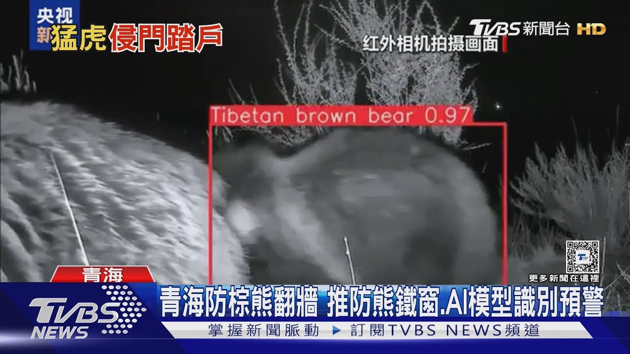 嚇死！東北虎猛撞鐵門！　黑龍江老翁遭咬傷恐截肢