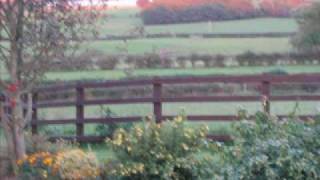 Northern Ireland and Antrim Coast