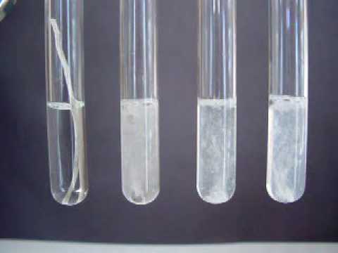 Reactions Of Group 2 Elements With Water Chemistry Libretexts