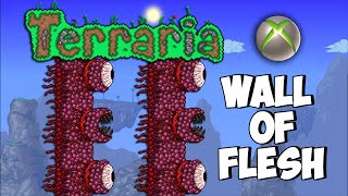 Terraria Xbox - Nitro's Magic Mansion - Wall of Flesh [17]