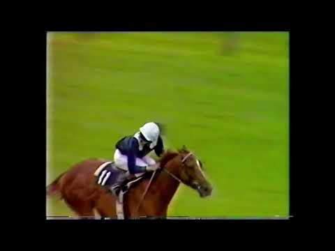 Lester and Vacarme Disqualified in The 1983 Richmond stakes but puts things right in The Mill Reef.