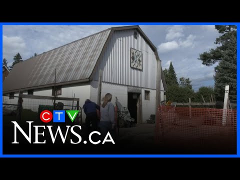 Special project underway at Ralphy's Retreat Animal Sanctuary - YouTube