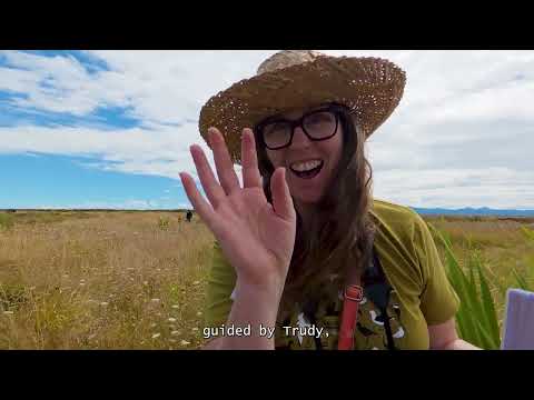 Aotearoa New Zealand by bicycle and campervan