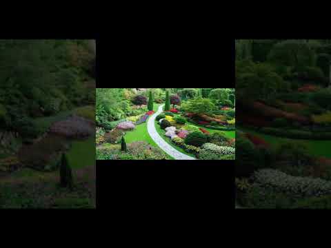 Jenna Davis - Summer of 19