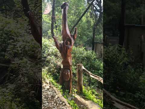 TANDIL en un minuto-Buenos Aires 🇦🇷. Dejame en los comentarios cuál visitarías primero? ⛰️💛