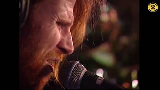 Video thumbnail of "Screaming Trees - All I Know (Live on 2 Meter Sessions)"