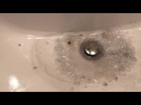 Menards Drain Cleaner