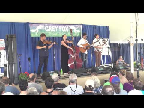 The Abby Hollander Band plays at Grey Fox 2015