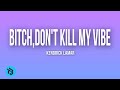 Kendrick Lamar Bitch Don T Kill My Vibe Lyrics