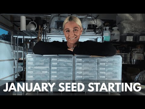 Seed Starting | January 2026 (NEW Varieties & Favorites!)