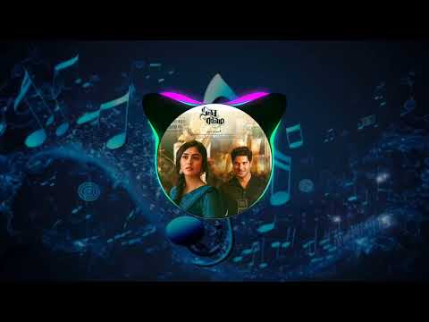 nene Aa nene song / setaramam song / telugu song