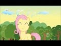 MLP FiM - Young Fluttershy - So Many Wonders + ...