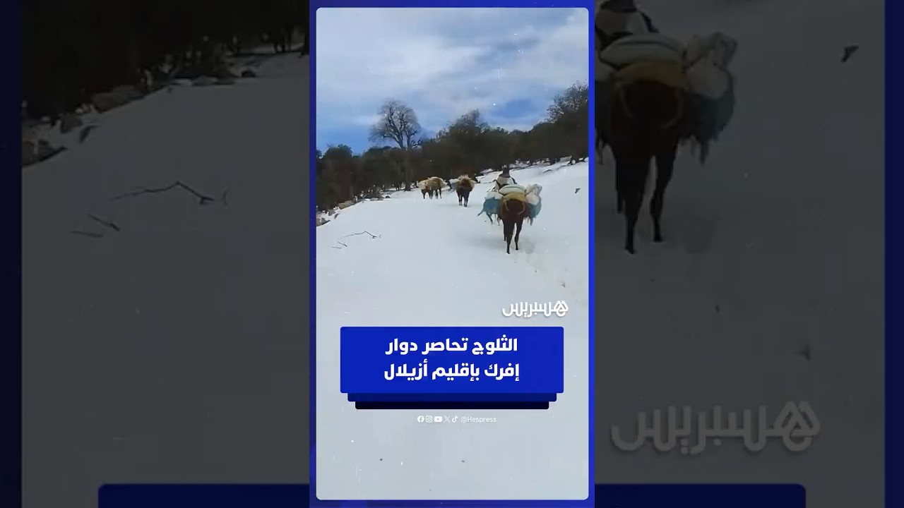الثلوج تحاصر دوار إفرك بجماعة تفيرت في إقليم أزيلال thumbnail