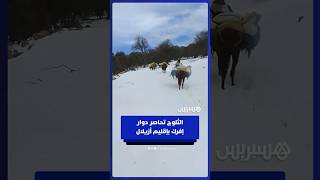 الثلوج تحاصر دوار إفرك بجماعة تفيرت في إقليم أزيلال thumbnail