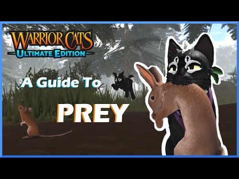 (OUTDATED) Prey Hunting Guide | Warrior Cats: Ultimate Edition