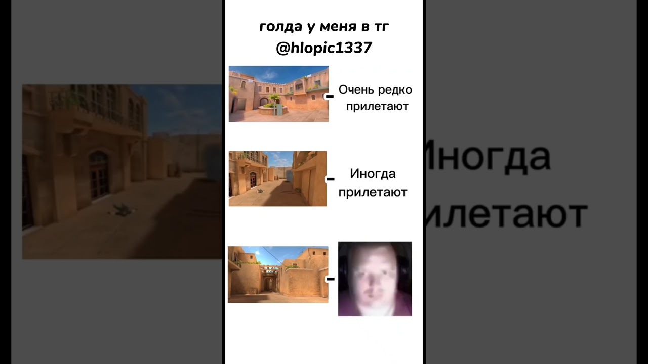 подпишись) голда по ссылке в шапке профиля‼️#standoff2memes #standoff2 #remastered #стэндоффнарезка