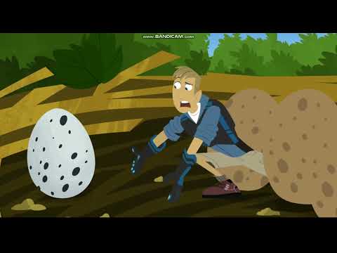 Go Wild! Mission Wildnis - Staffel 3 Folge 14 - Die Vögel der Prärie