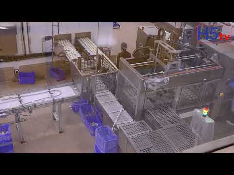 Arun Ice Cream New Production Unit in Govindapur Zaheerabad | Best Ice-cream | Ice Cream,Hatsun Agro