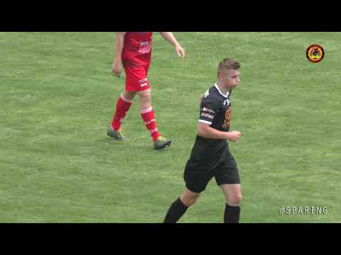 Sparing: KSZO Ostrowiec Św. - Wisła Sandomierz (Gol na 1:1)