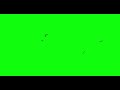 ️ FREE Bird Flying Green Screen Effects HD Footage For Video Editors