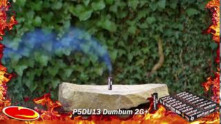 DUMBUM 2G+ 20 ks