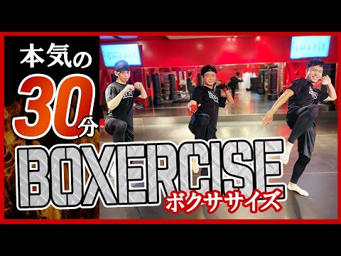 【ついに本気の30分】「自宅ボクササイズ」はコレだけでOK。