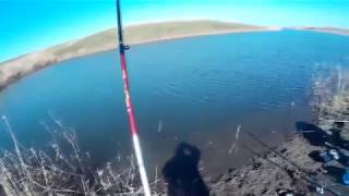 Где ловить хищника в ставропольском крае