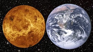 Venus: The Solar System's First Habitable Planet