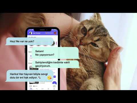 Can Dostun: Adopt a Friend video thumbnail