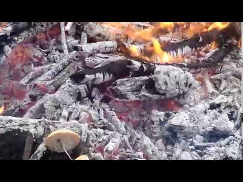 Micii Exploratori s.Furceni  14.11.2015