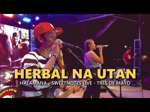 HERBAL NA UTAN - Halamana | Sweetnotes Live @ Sulop