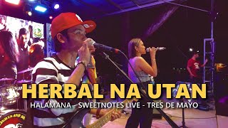 Download lagu HERBAL NA UTAN - Halamana | Sweetnotes Live @ Sulop mp3