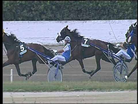 Trotto 22/06/2016 - 4° corsa