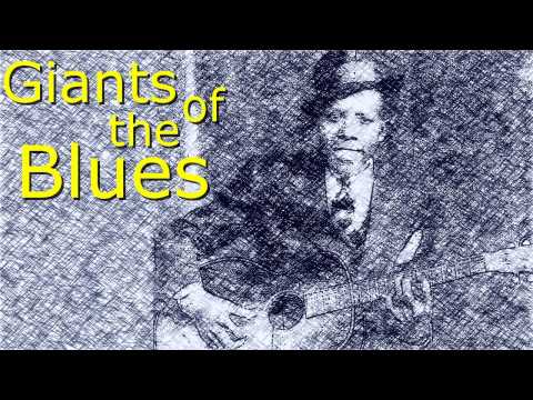 Roosevelt Sykes - 44 Blues