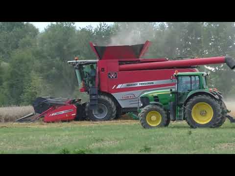 Giganten im Einsatz  die Getreide Ernte ist voll im Gange Dreschen bis nichts mehr steht oder Regen