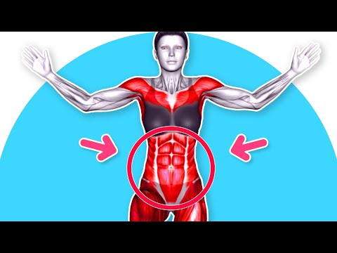 ➜ Stand Your Way to a Flat Belly in ➜ Just 14 Days!