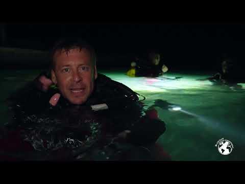 Great Hammerhead Shark – Tamataroa Ep.10 - Night dive in the Tiputa pass – Blancpain