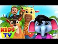 Zoo Song | We Are Going To The Zoo | Animal Sound Song | Junior Squad | Kids Tv